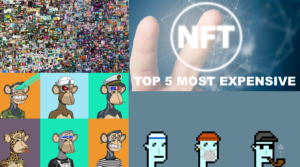 Read more about the article Top 5 Most Expensive NFTs Sold